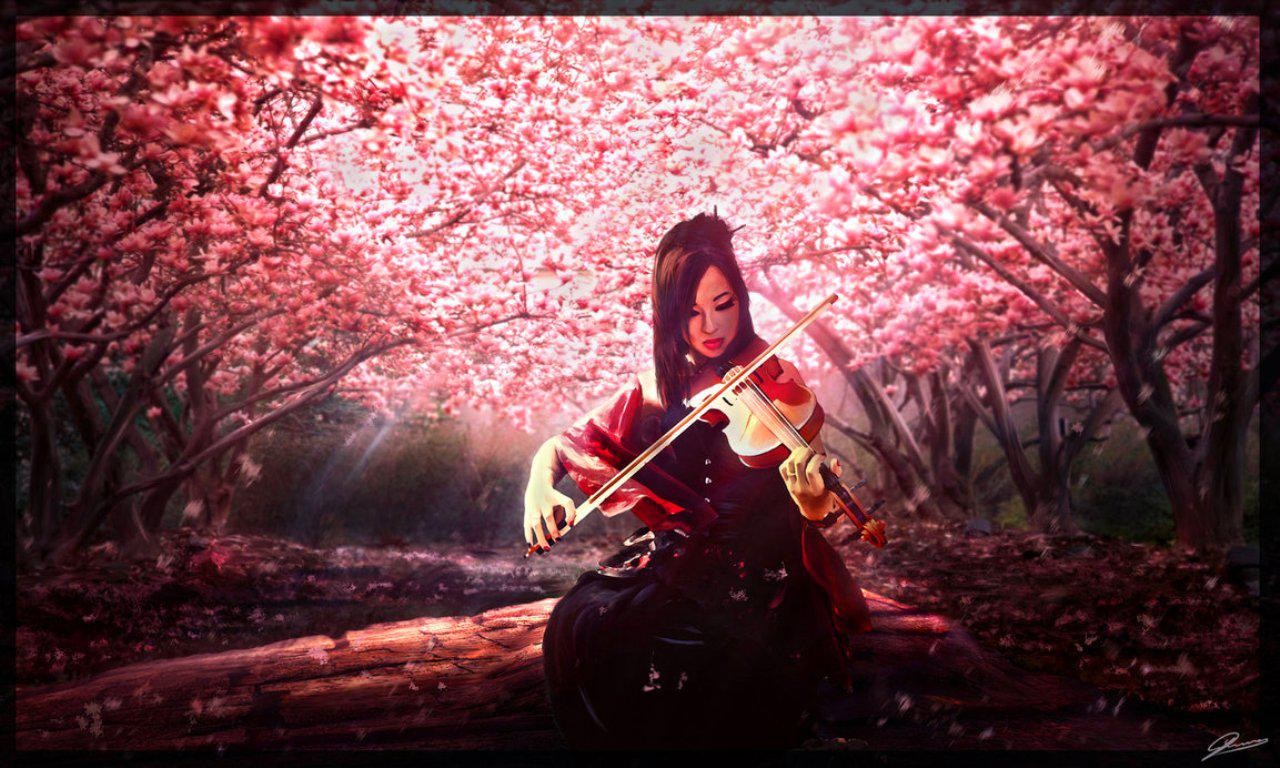 #geisha, #violin Wallpaper - Cherry Blossom Tree Violin , HD Wallpaper & Backgrounds