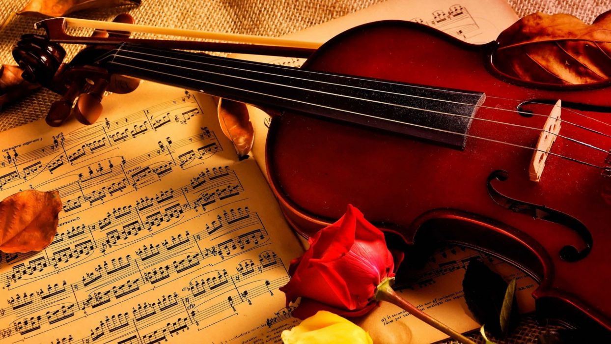 Violin Notes Rose Beauty Music Wallpaper - Violin Hd , HD Wallpaper & Backgrounds