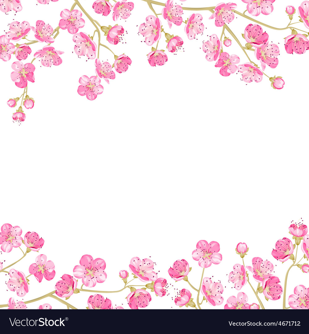 Spring Flowers Wallpaper - Flower Wallpaper White Background , HD Wallpaper & Backgrounds