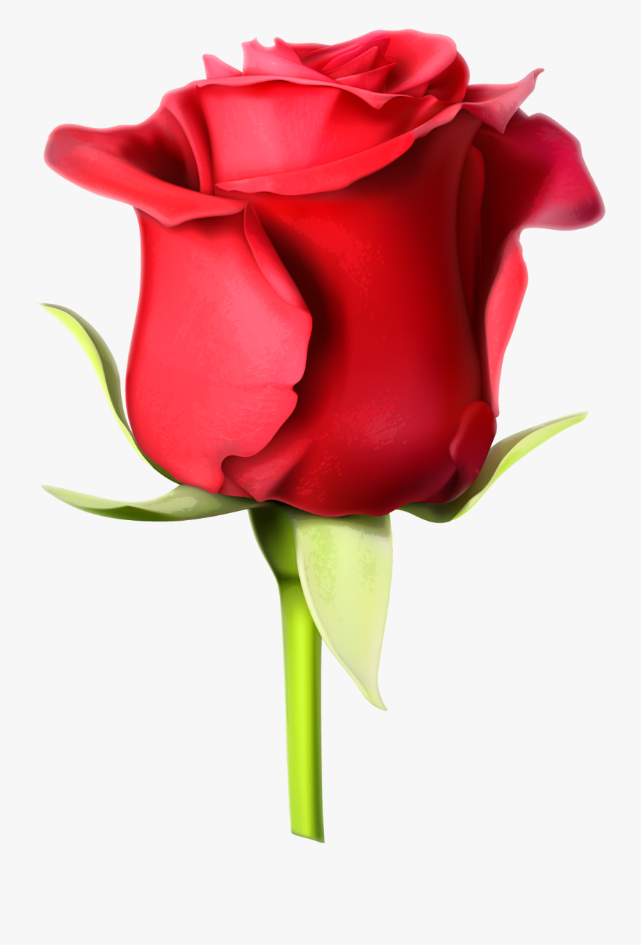Rose Images Hd Download Clipart , Png Download - Rose Full Hd Images Download , HD Wallpaper & Backgrounds