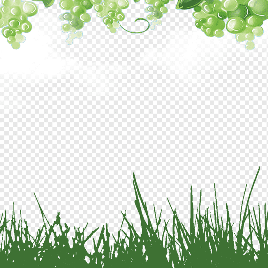 Green Grapes, Food, Leaf, Computer Wallpaper Png , HD Wallpaper & Backgrounds