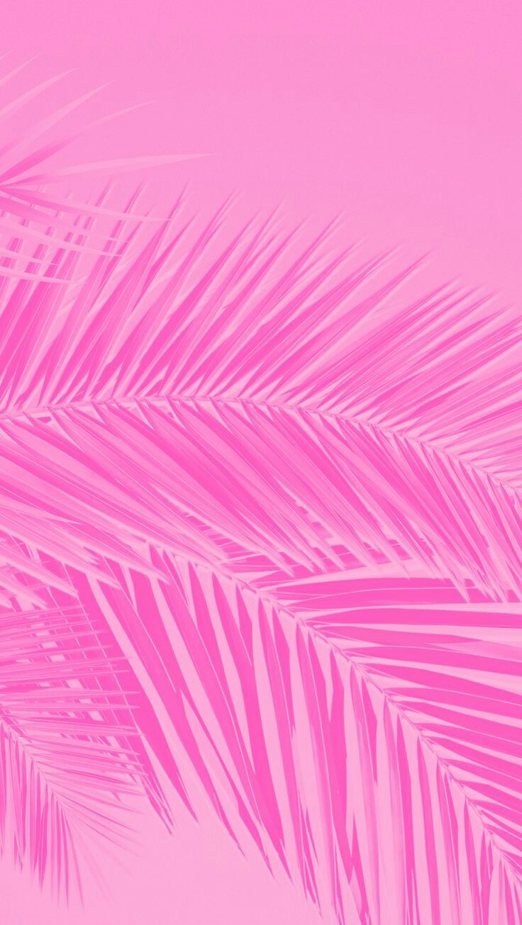 Pink, Magenta, Violet, Purple, Line, Pattern, Iphone - Imagens Lisas De Fundo , HD Wallpaper & Backgrounds
