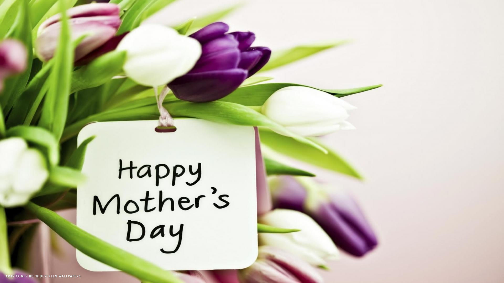 Happy Mothers Day Purple Pink White Tulips Flowers - Mother's Day , HD Wallpaper & Backgrounds