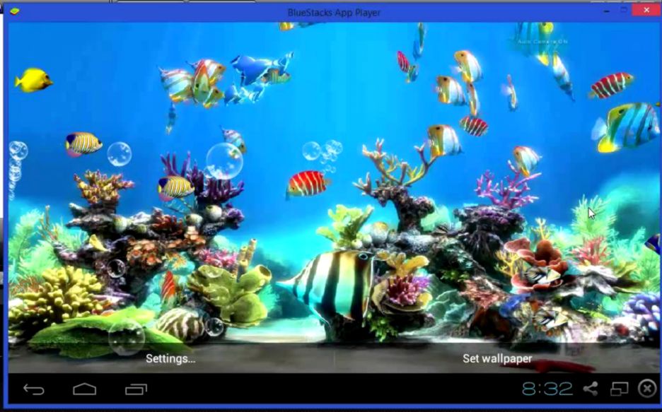 Live Wallpaper Of Fish , HD Wallpaper & Backgrounds