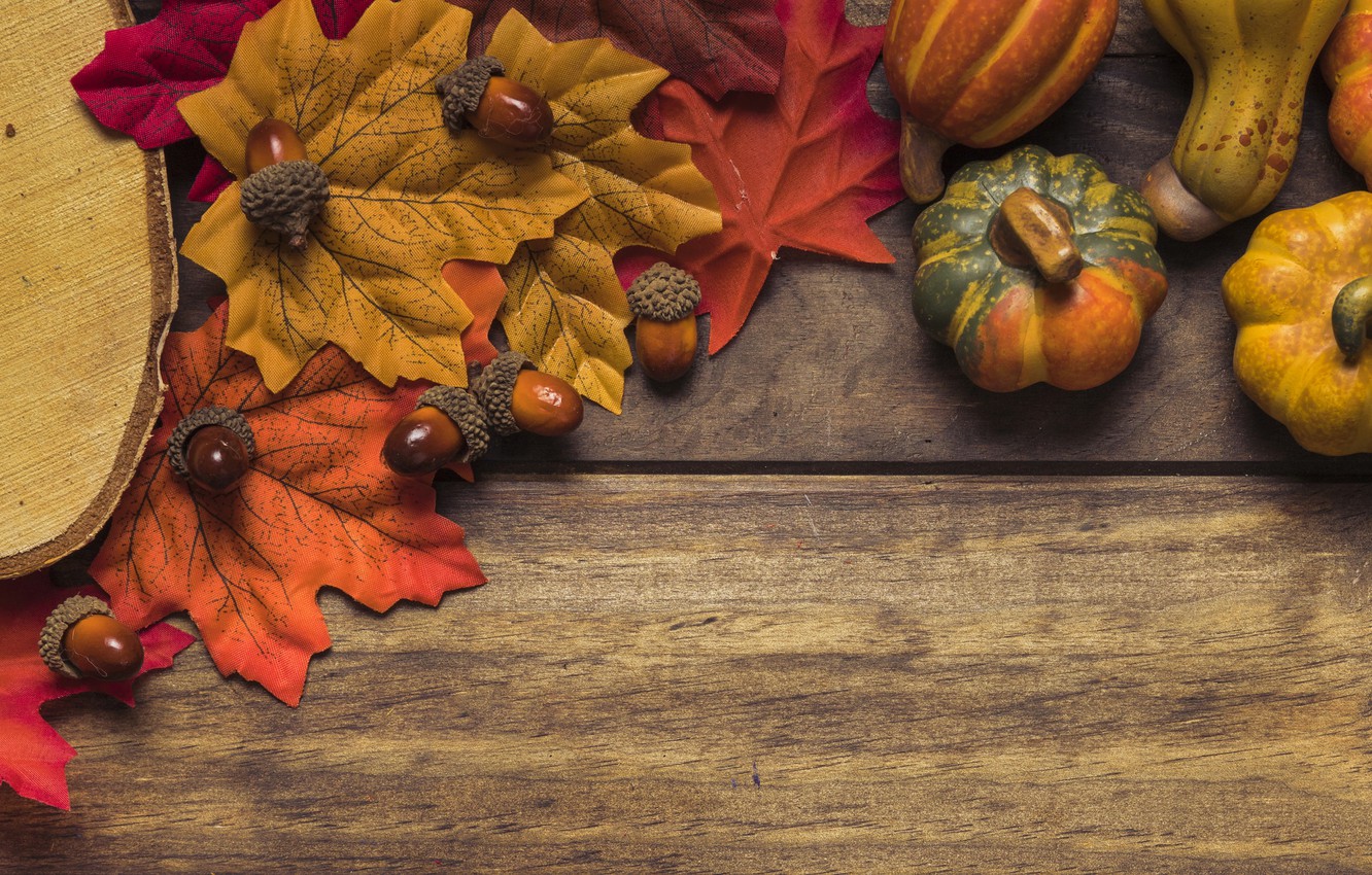 Photo Wallpaper Autumn, Leaves, Background, Tree, Board, - Fall Leaves And Pumpkins , HD Wallpaper & Backgrounds