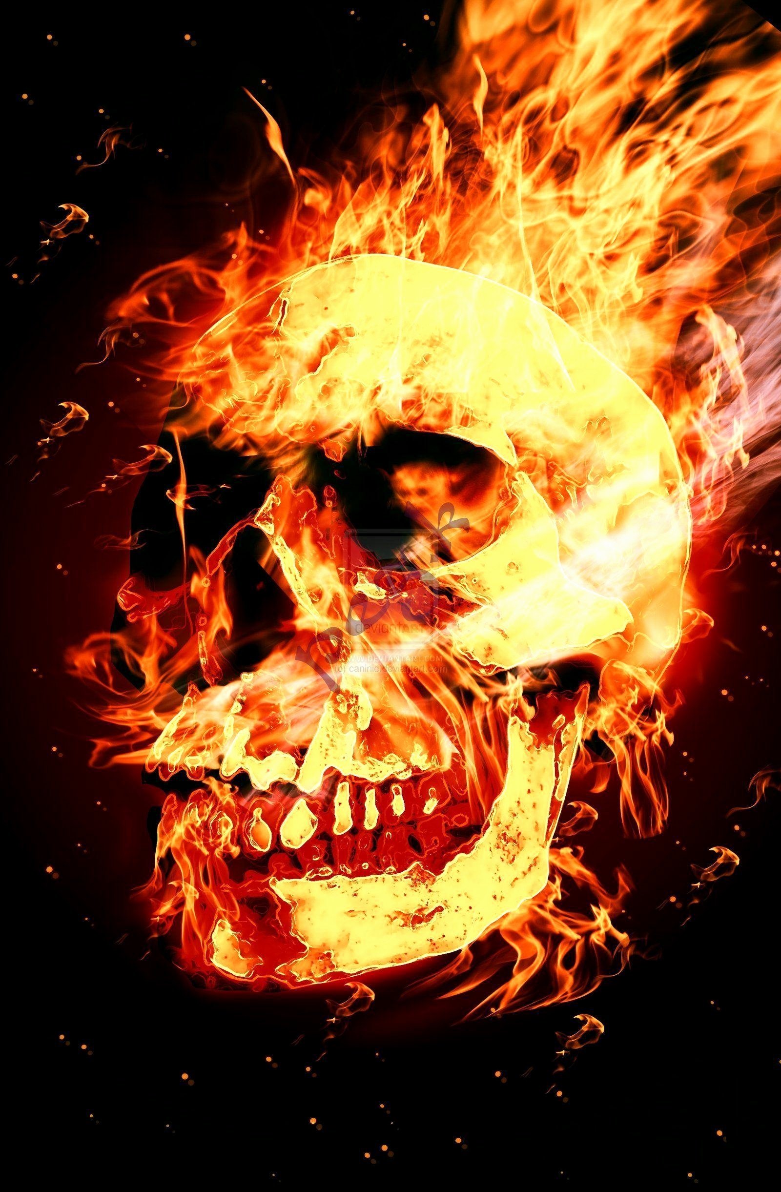 Skull On Fire , HD Wallpaper & Backgrounds
