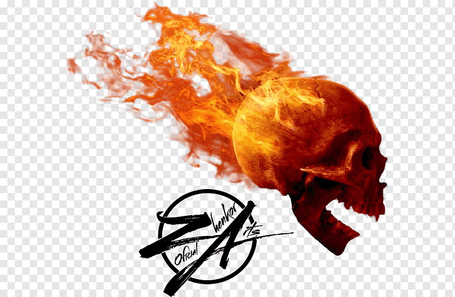 Skull Desktop Flame Fire, Skull, Computer Wallpaper, - Holy Family Catholic Church , HD Wallpaper & Backgrounds