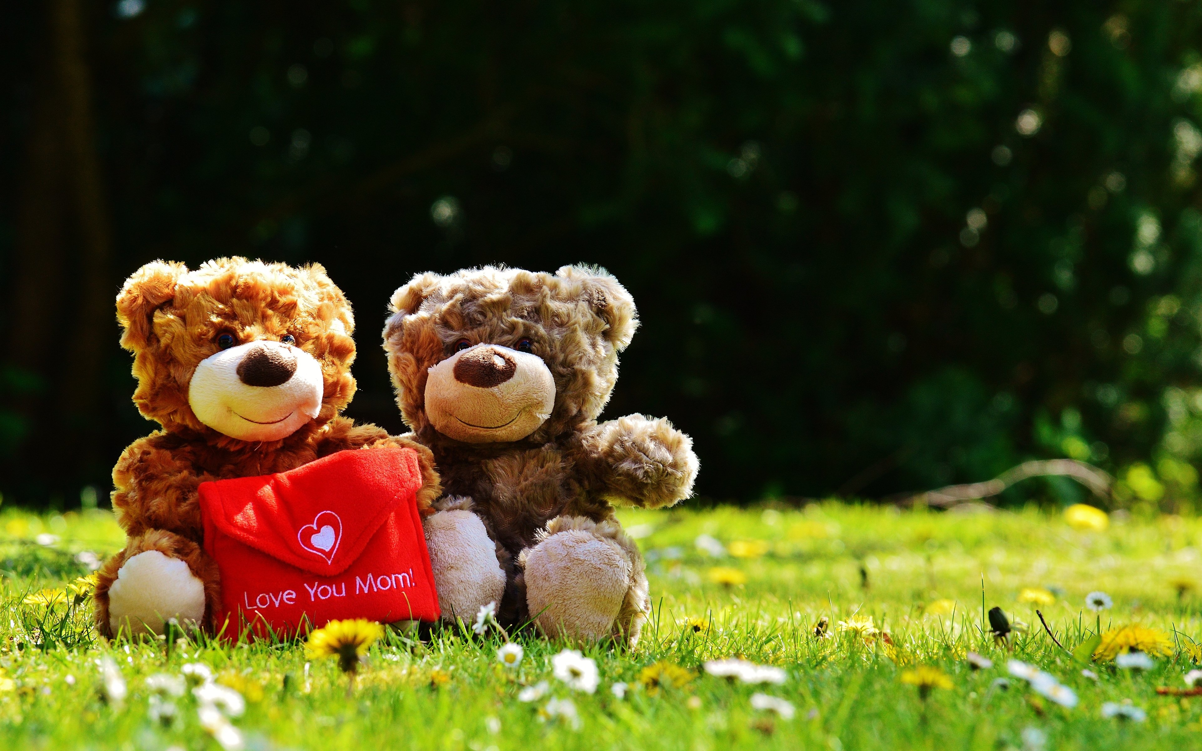 Happy Mothers Day Love You Mom - Happy Teddy Day 2020 , HD Wallpaper & Backgrounds