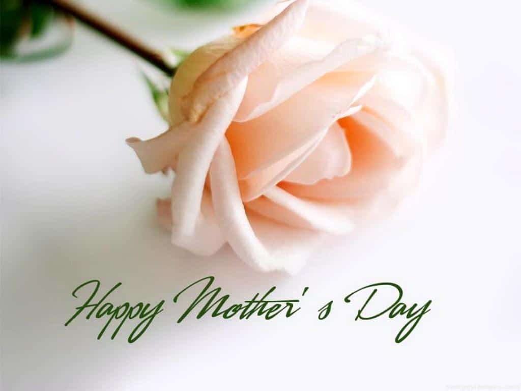 Women S Day Wallpaper - Happy Mothers Day 2018 , HD Wallpaper & Backgrounds