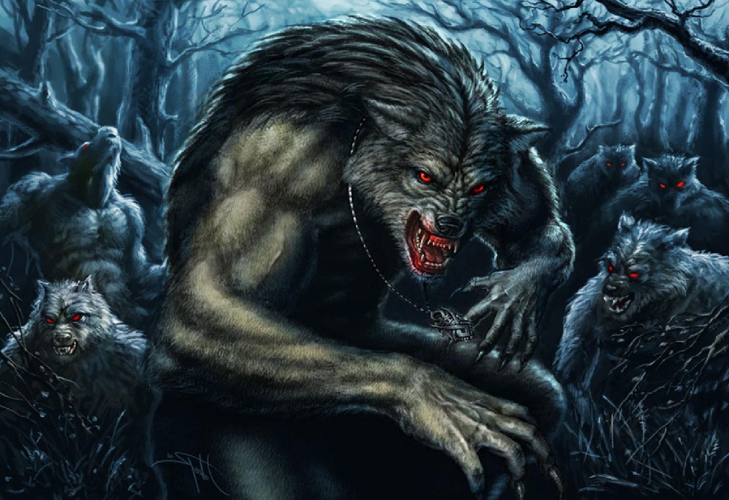 Werewolf Desktop Wallpaper - Werewolf Elder , HD Wallpaper & Backgrounds