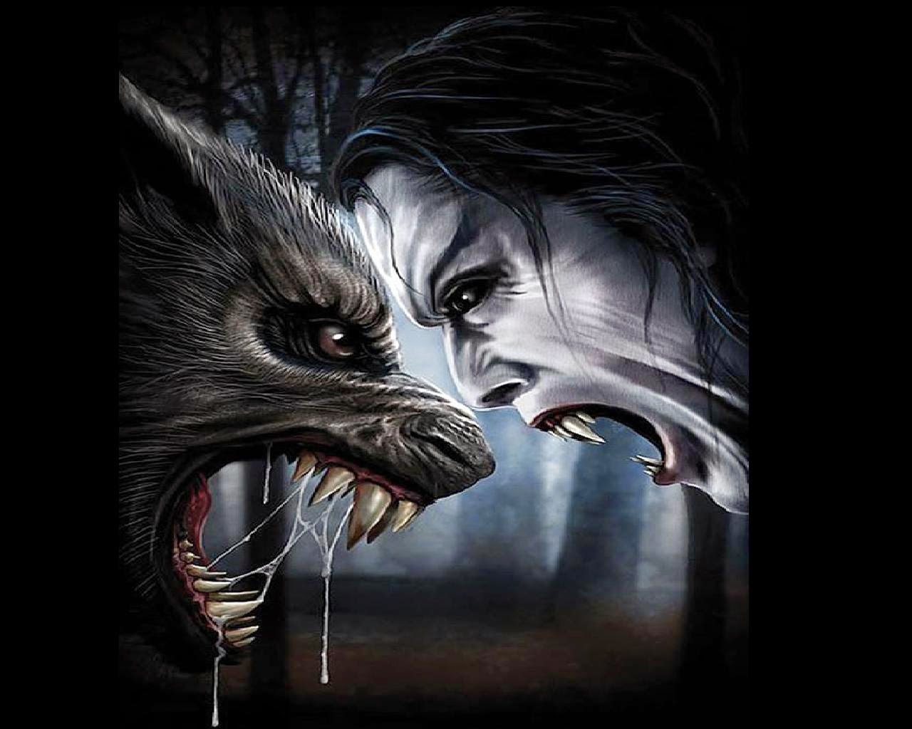 Werewolf Vs Vampire , HD Wallpaper & Backgrounds