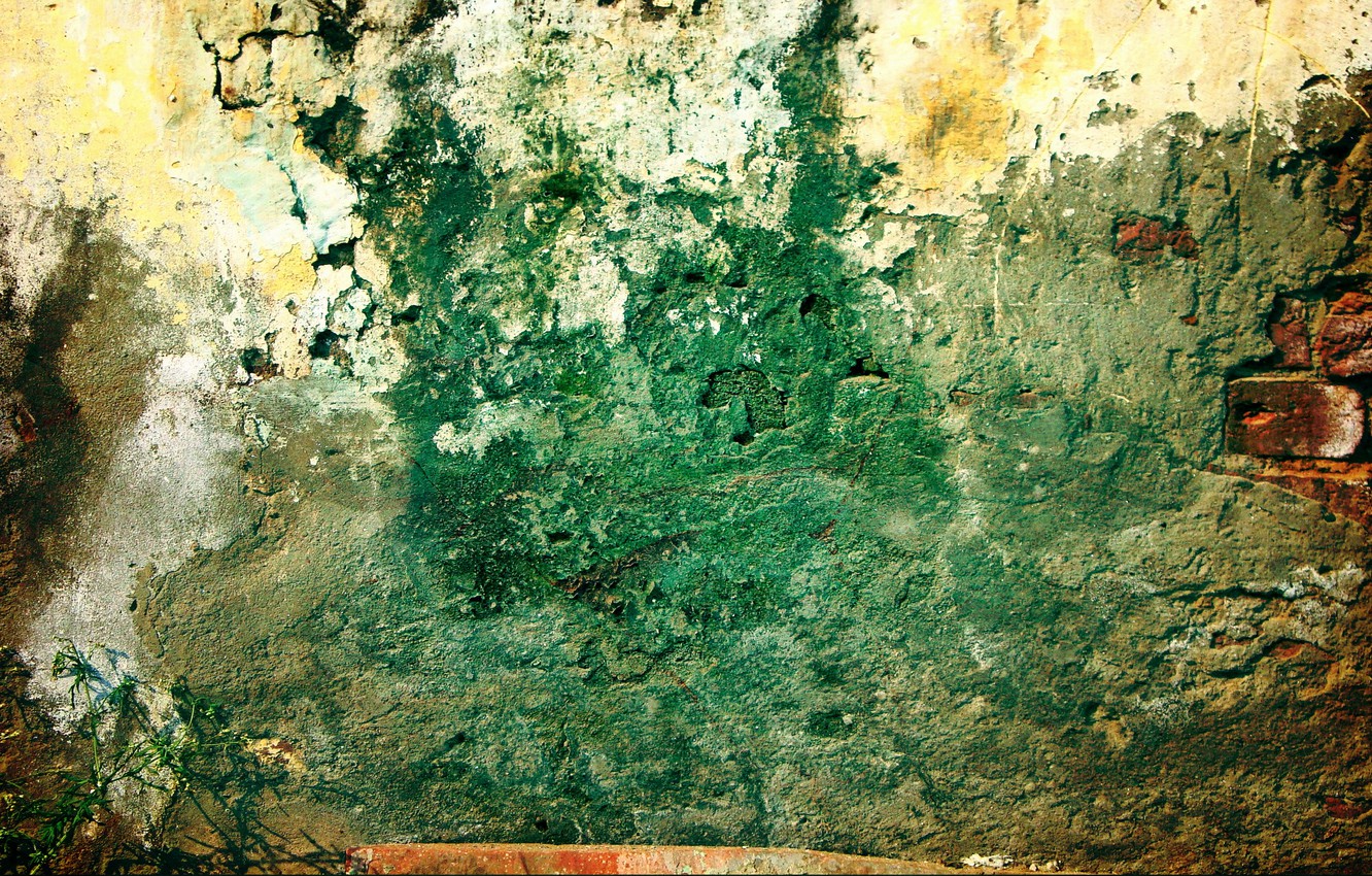 Photo Wallpaper Green, Wall, Pattern, Grunge, Plant, - Background Grunge , HD Wallpaper & Backgrounds