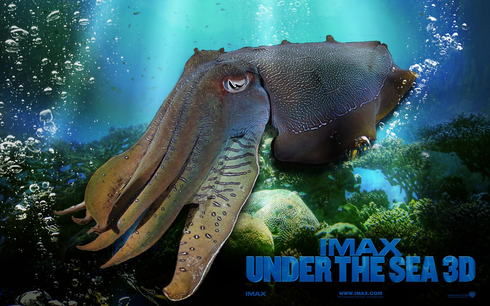 Under The Sea 3d, Film, Movies , HD Wallpaper & Backgrounds