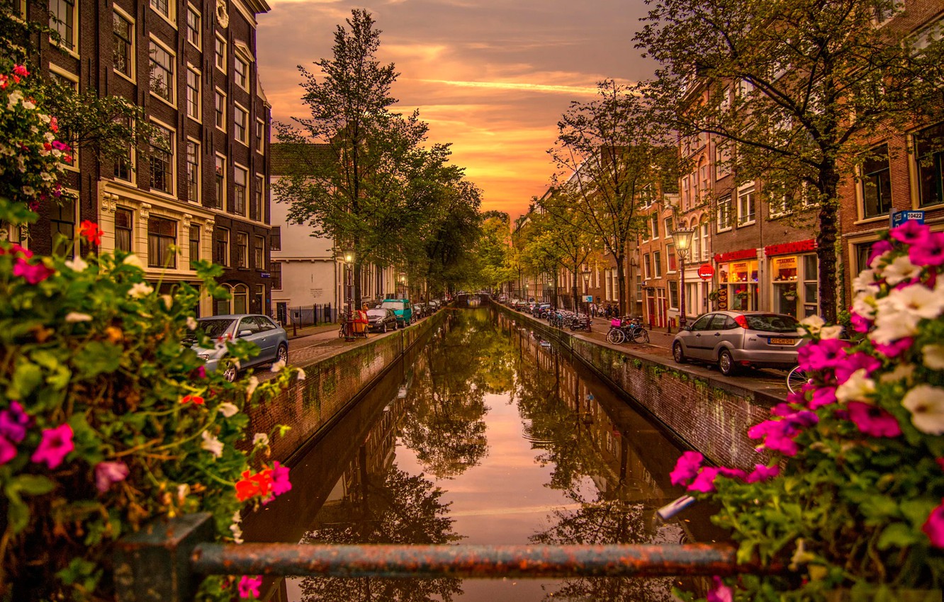 Photo Wallpaper Trees, Flowers, Bridge, River, Dawn, - Desktop Wallpaper Amsterdam Hd , HD Wallpaper & Backgrounds