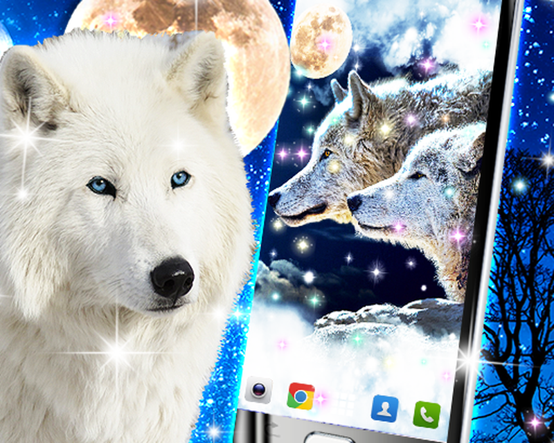 Wolfdog , HD Wallpaper & Backgrounds