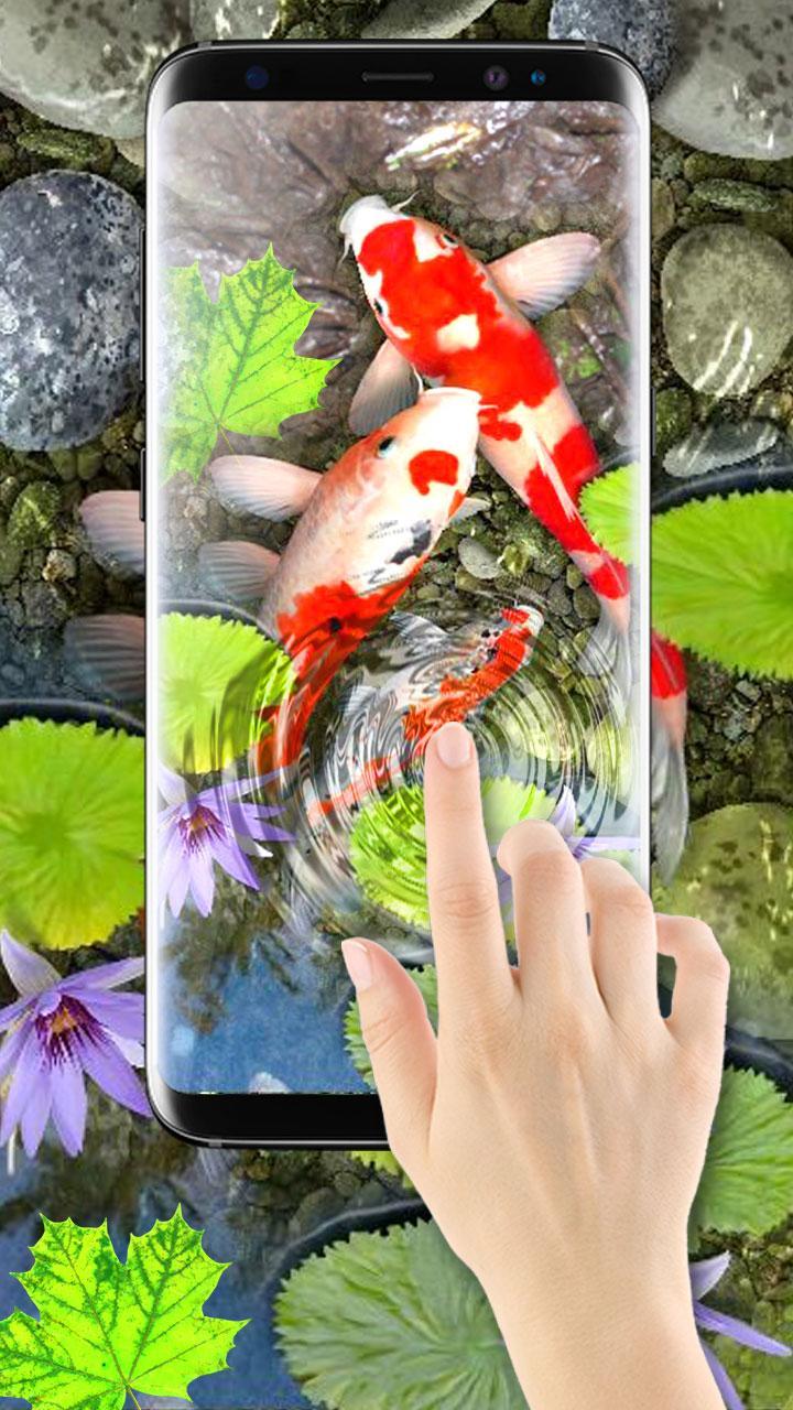3d Koi Fish Wallpaper Hd 3d Fish Live Wallpapers For - 3d Wallpaper Water Fish , HD Wallpaper & Backgrounds