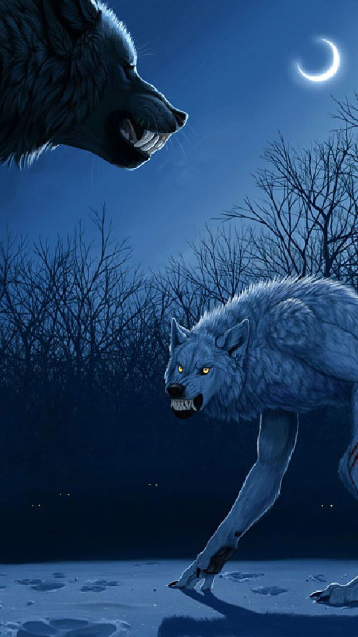 Werewolves Good Vs Werewolves Evil , HD Wallpaper & Backgrounds