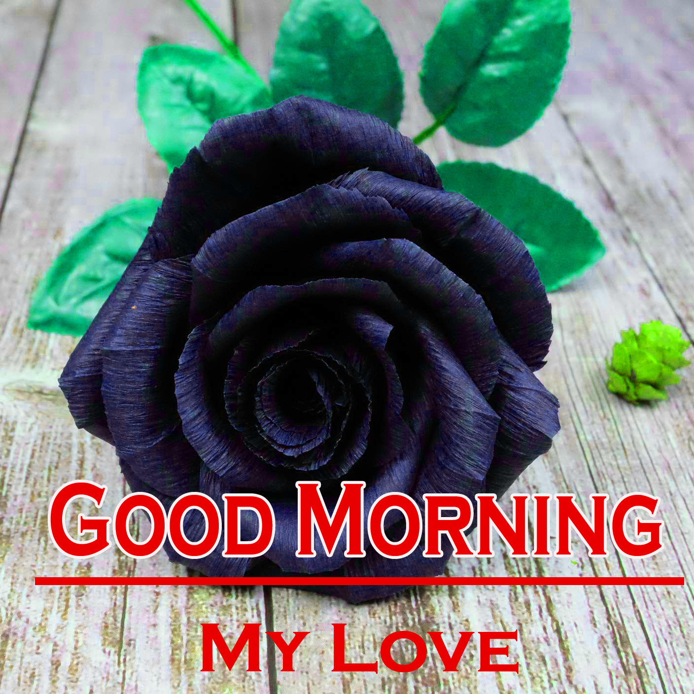 Good Morning Love Images For Girlfriend - Garden Roses , HD Wallpaper & Backgrounds