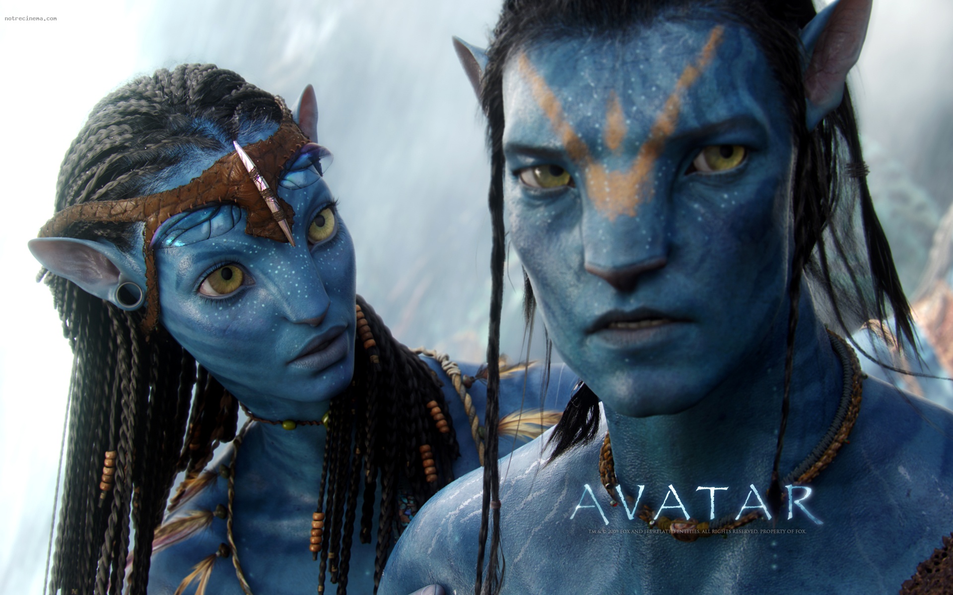 Download Avatar , HD Wallpaper & Backgrounds