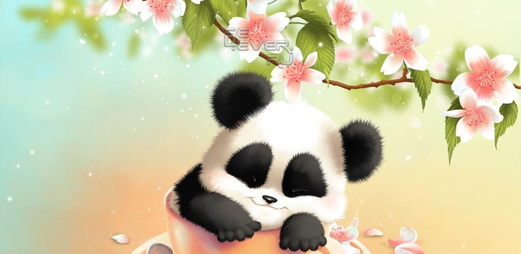 Panda Live Wallpaper - Fond D Écran Panda Mignon , HD Wallpaper & Backgrounds