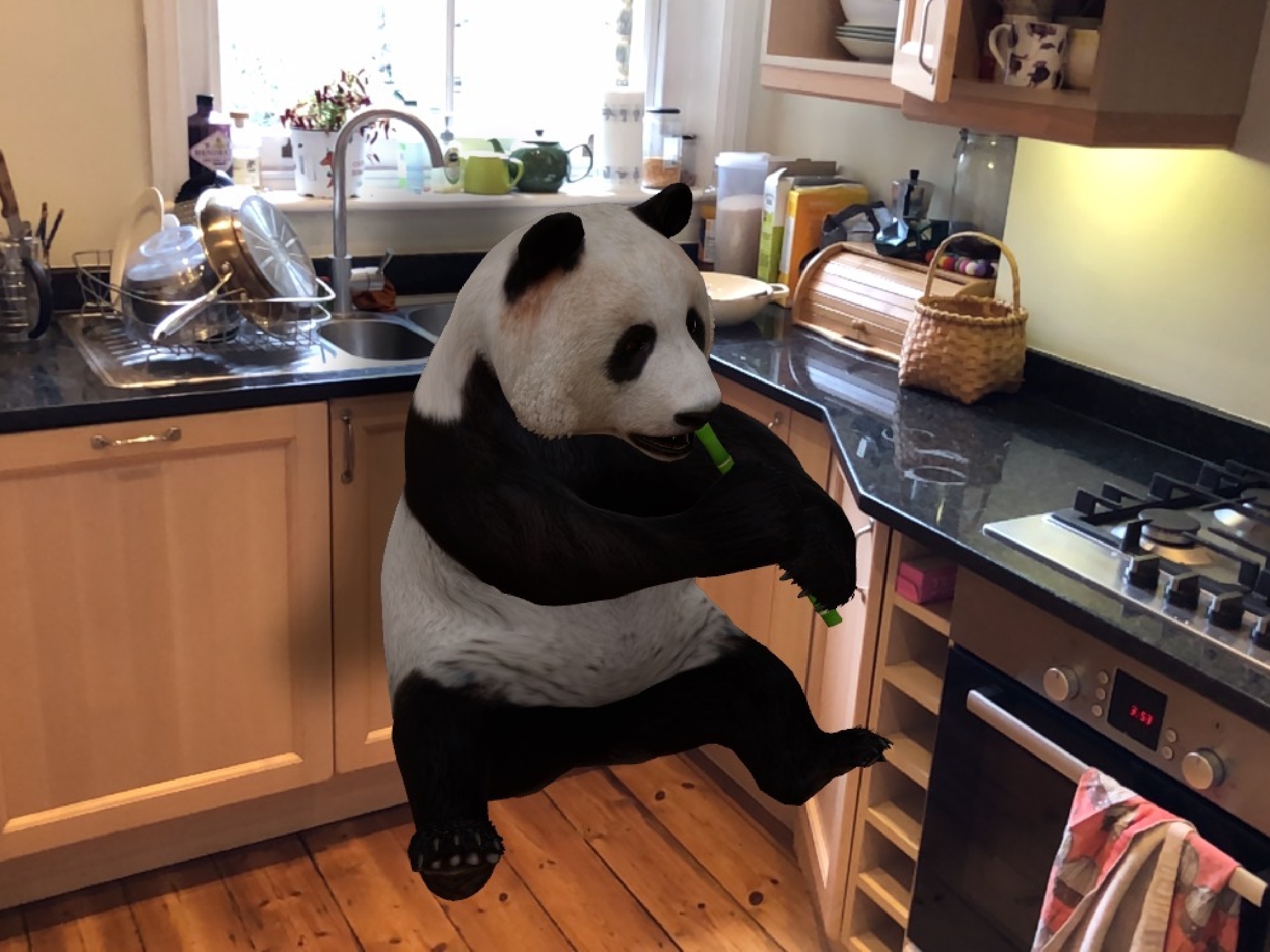 Tiger Panda 3d Google , HD Wallpaper & Backgrounds