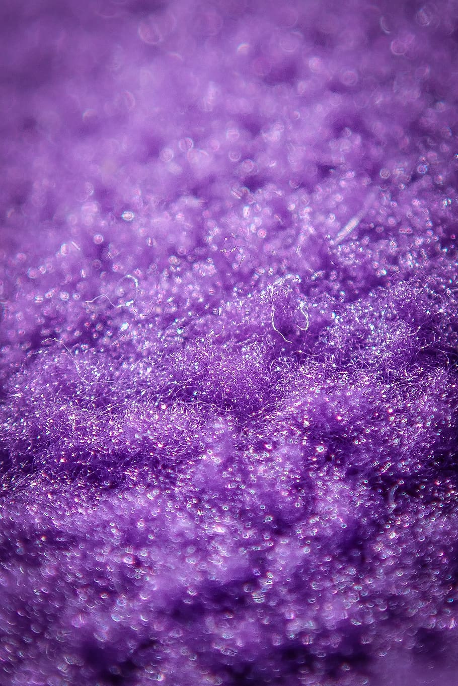 Light, Glitter, Purple, Rug, Flare, Plant, Moss, Dye, - Purple Background , HD Wallpaper & Backgrounds