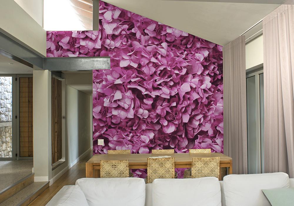 Hydrangea , HD Wallpaper & Backgrounds