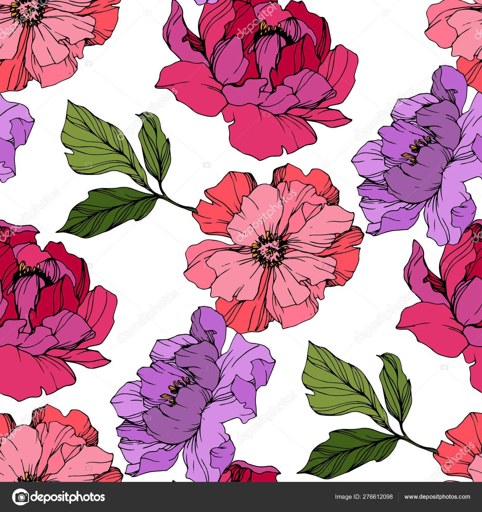 Vector Pink And Purple Peony Flower - Gilliflower , HD Wallpaper & Backgrounds