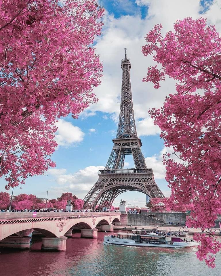 Trocadéro Gardens , HD Wallpaper & Backgrounds