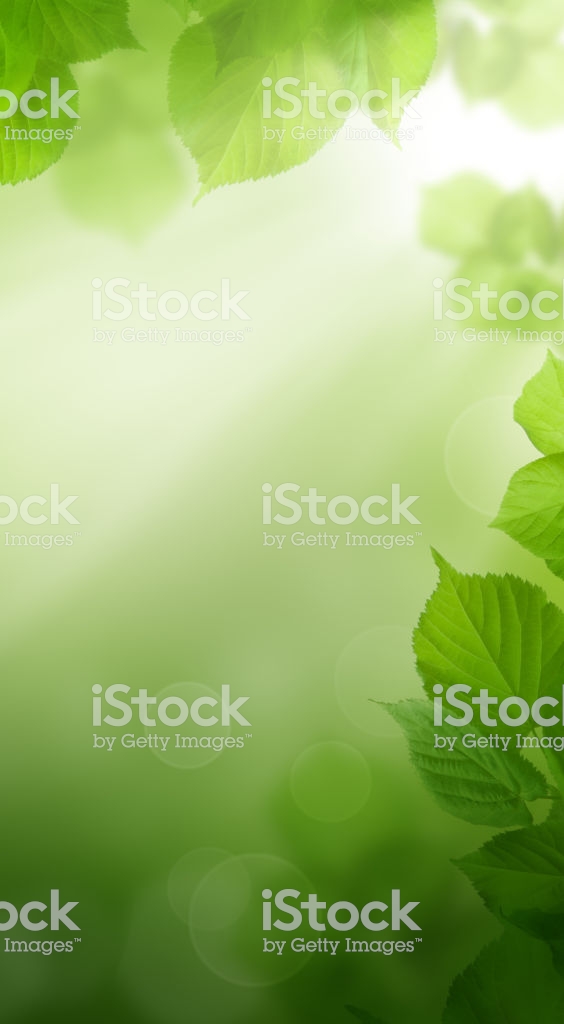 Abstract Spring Green Wallpaper Background With Greenery - Green Folhagem , HD Wallpaper & Backgrounds