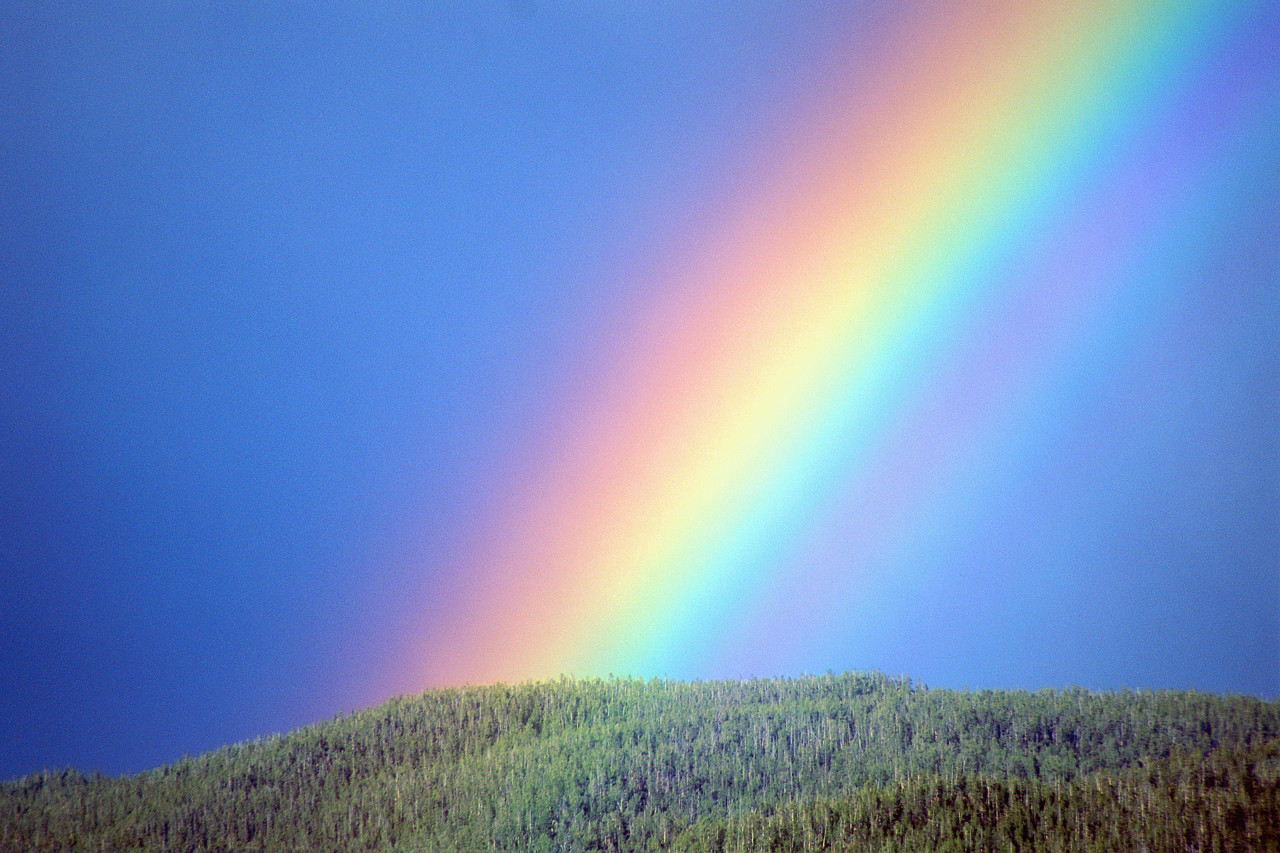 Rainbow Pictures For Desktop Download Hd Wallpapers - Beautiful Rainbow , HD Wallpaper & Backgrounds