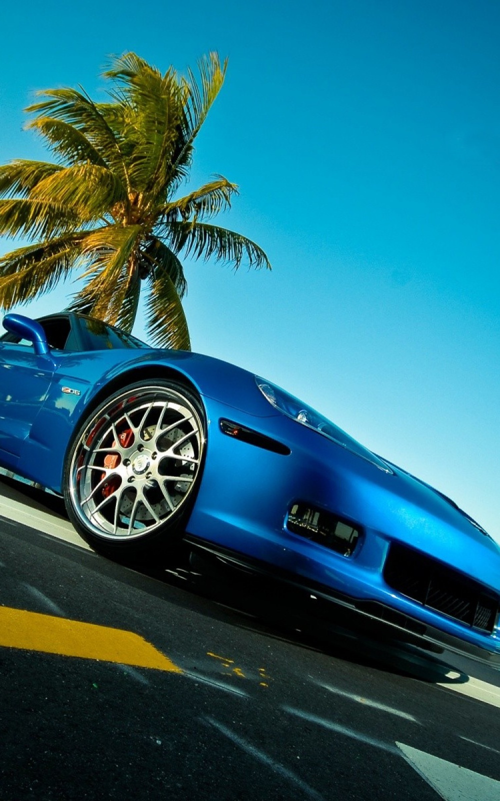 Car With Palm Tree , HD Wallpaper & Backgrounds