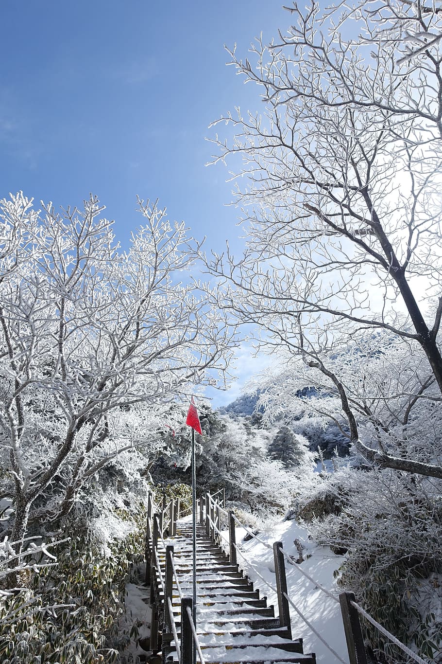 Winter, Snow Mountain, Jeju Island, Republic Of Korea, - Jeju Island Winter Season , HD Wallpaper & Backgrounds