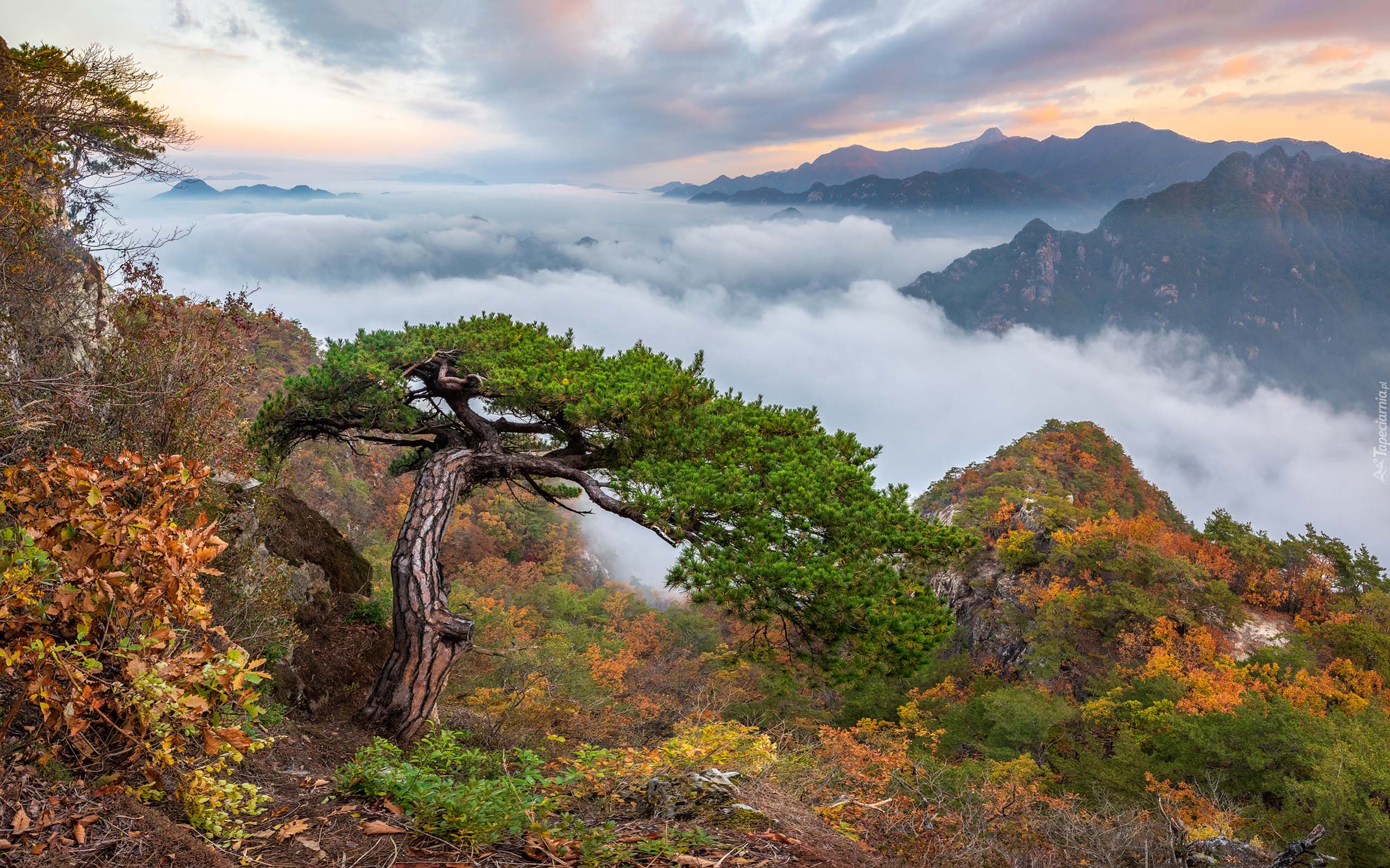 South Korea Landscape , HD Wallpaper & Backgrounds