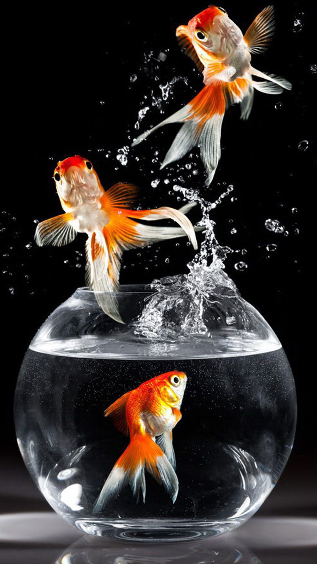 Android Smart Phone Wallpaper - Golden Fish In Bowl , HD Wallpaper & Backgrounds