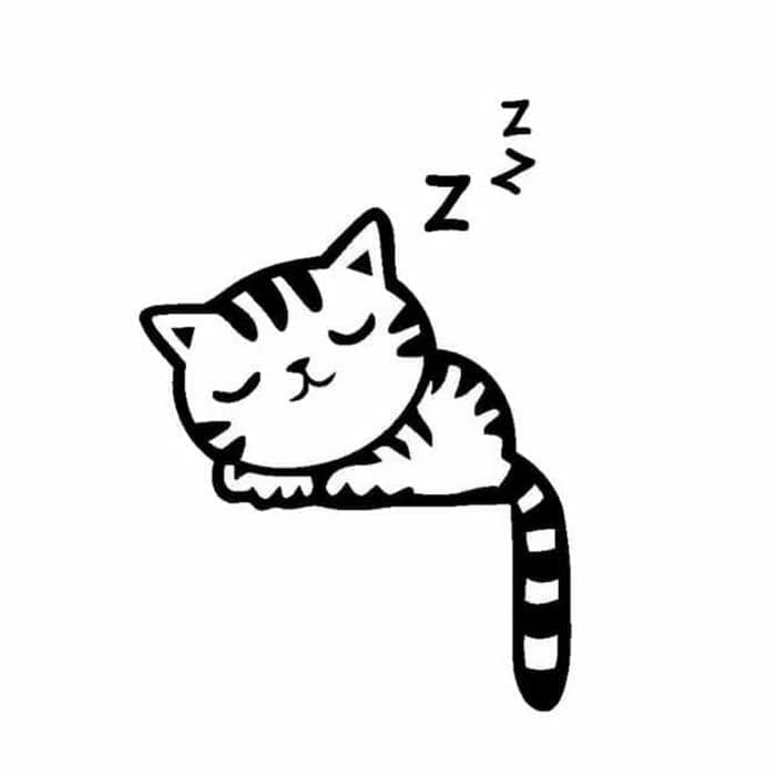 Drawing Sleeping Cat Cartoon , HD Wallpaper & Backgrounds