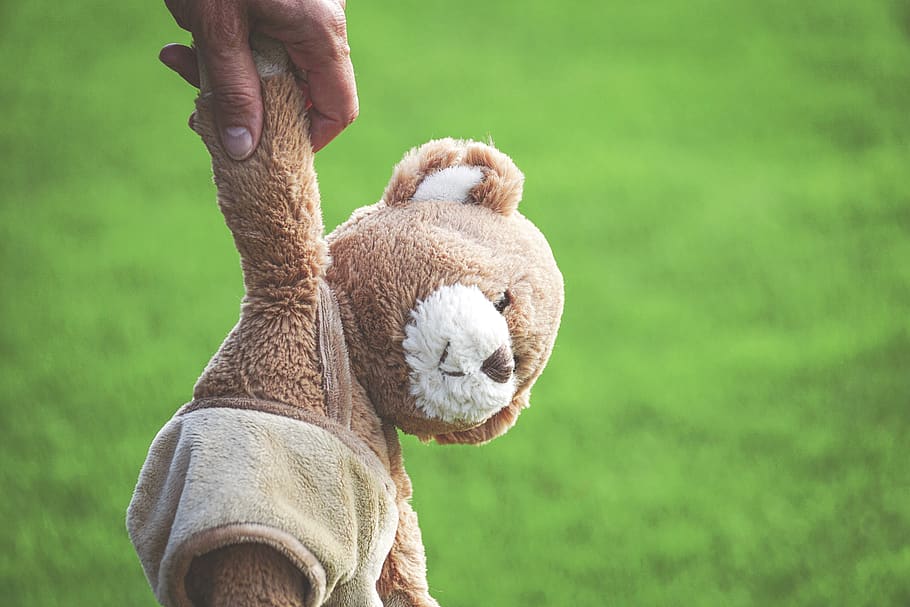 Photo Of Person Holding Brown Teddy Bear, 4k Wallpaper, - Happy Friday Hang In There , HD Wallpaper & Backgrounds