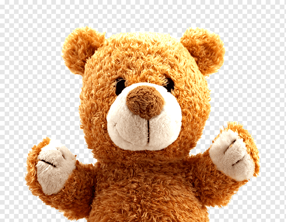 Boneka Beruang, Boneka Binatang & Mainan Imut, Teddy, - Holy Family Catholic Church , HD Wallpaper & Backgrounds