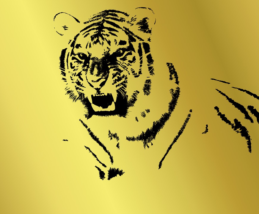 Tigre Signe Chinois , HD Wallpaper & Backgrounds
