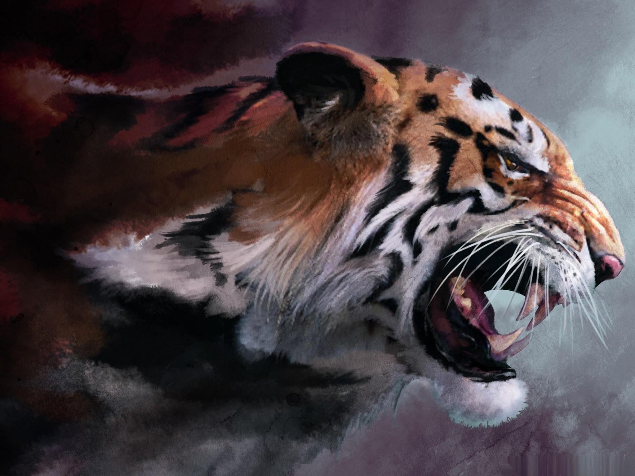Cat Harimau Marah - Angry Tiger Wallpaper Hd , HD Wallpaper & Backgrounds
