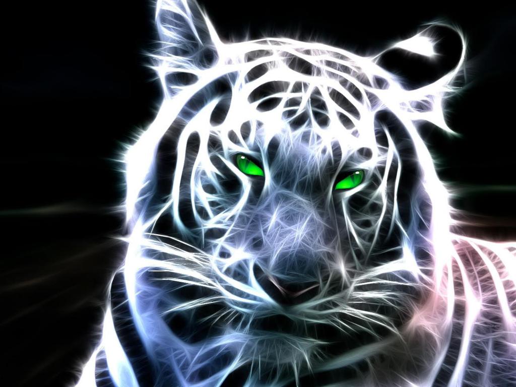 Tiger Wallpapers 3d Full Hd Snow, Lion - Tigers Wallpaper Full Hd , HD Wallpaper & Backgrounds