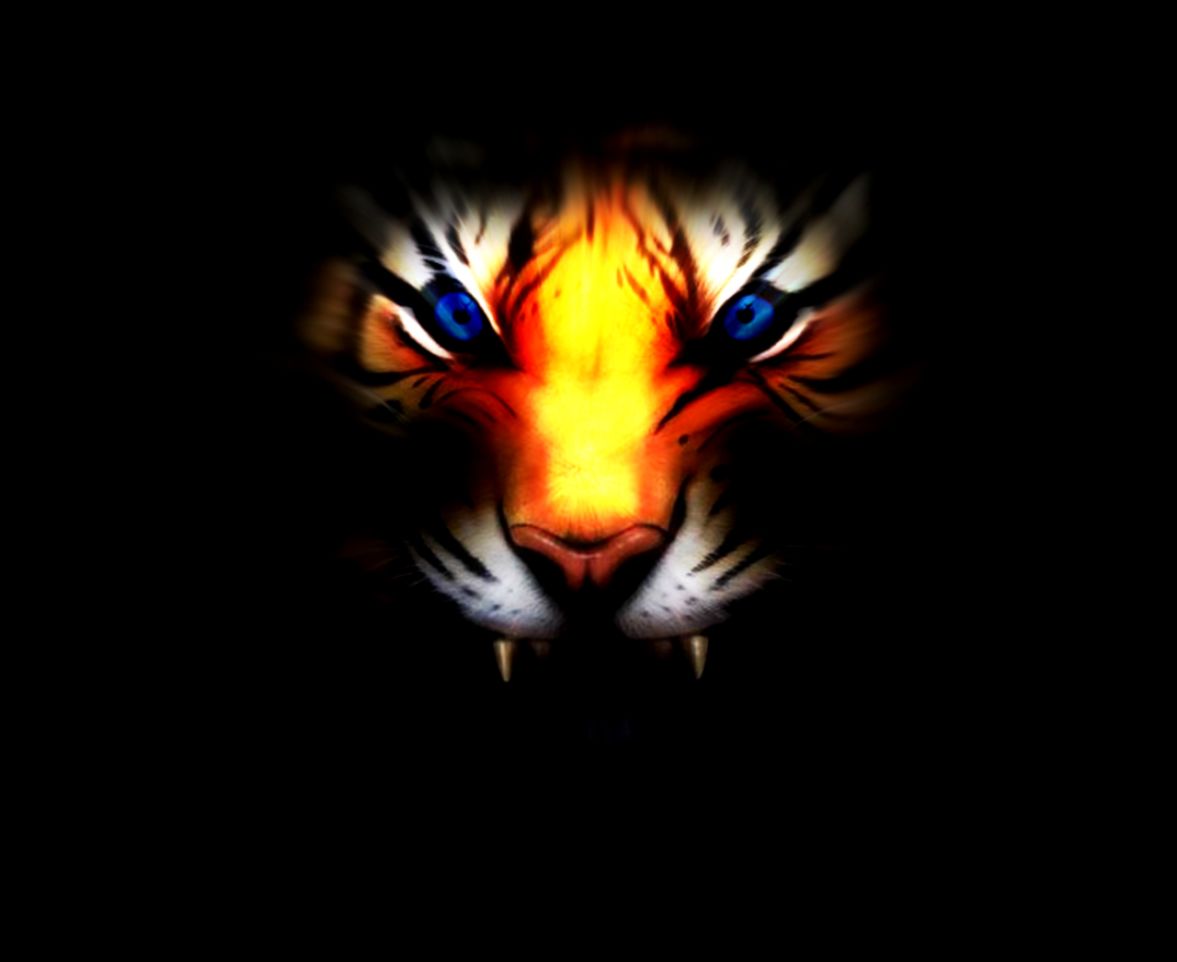 3d Tiger Wallpaper Android 6983 Wallpaper Solid Wallpapers - Fierce Eyes Of Tiger , HD Wallpaper & Backgrounds