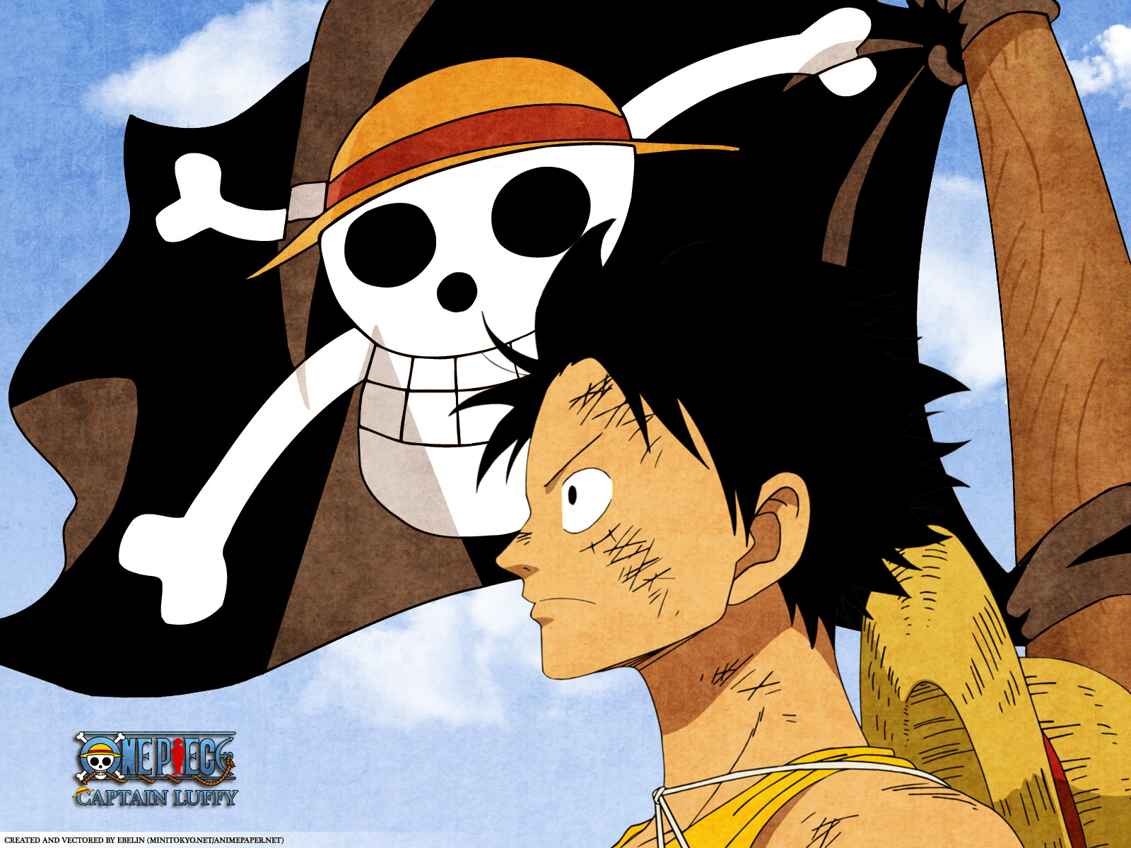 Eiichiro Oda, Toei Animation, One Piece, Monkey D - Monkey D Luffy Straw Hat Flag , HD Wallpaper & Backgrounds