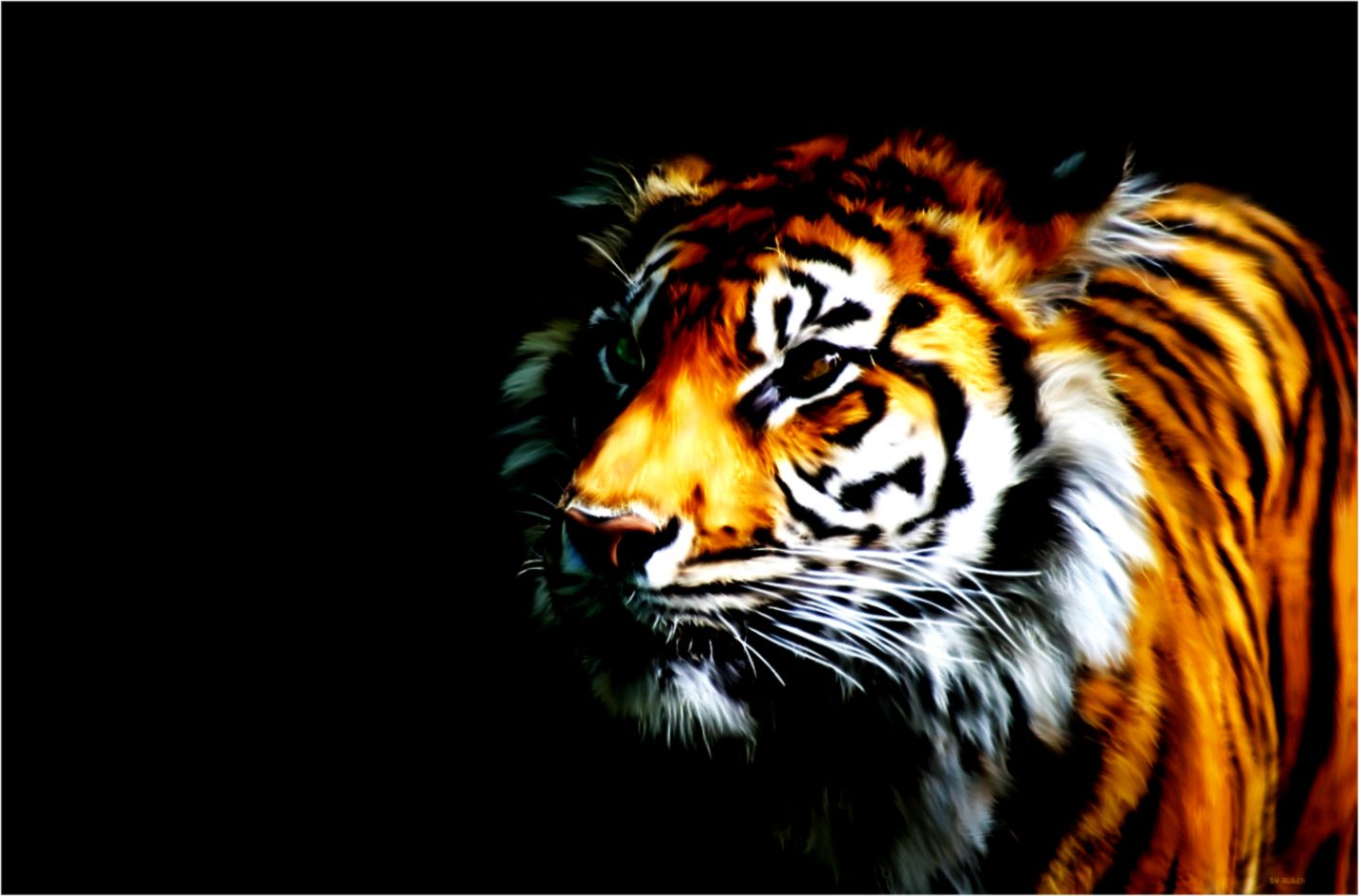 Tigers Wallpapers Best Wallpapers Hd Gallery - Tiger Wallpaper Desktop , HD Wallpaper & Backgrounds