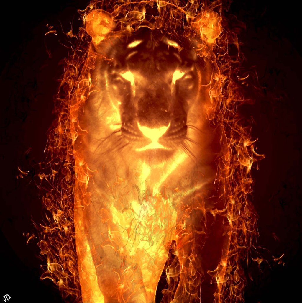 Tiger 3d Free Wallpaper Ipad Awesome Wallpaper Tiger - Jaguar Animal On Fire , HD Wallpaper & Backgrounds