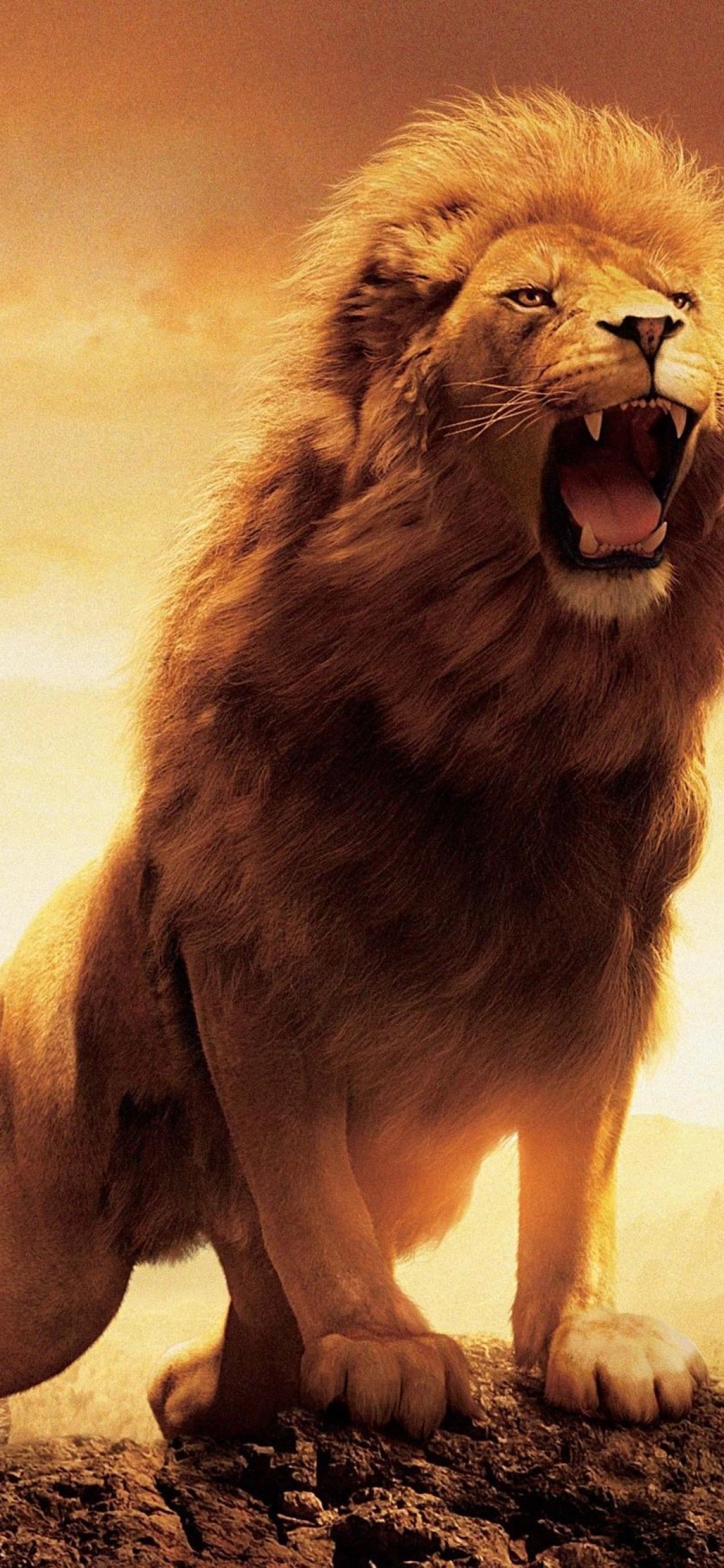 Iphone Ultra Hd Lion Wallpaper 4k , HD Wallpaper & Backgrounds