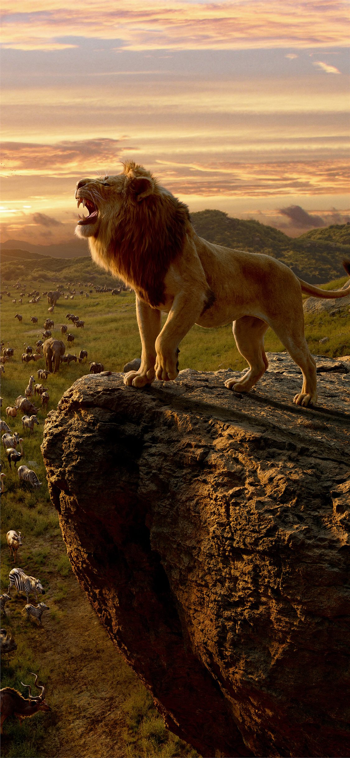 Lion King Wallpaper 4k , HD Wallpaper & Backgrounds