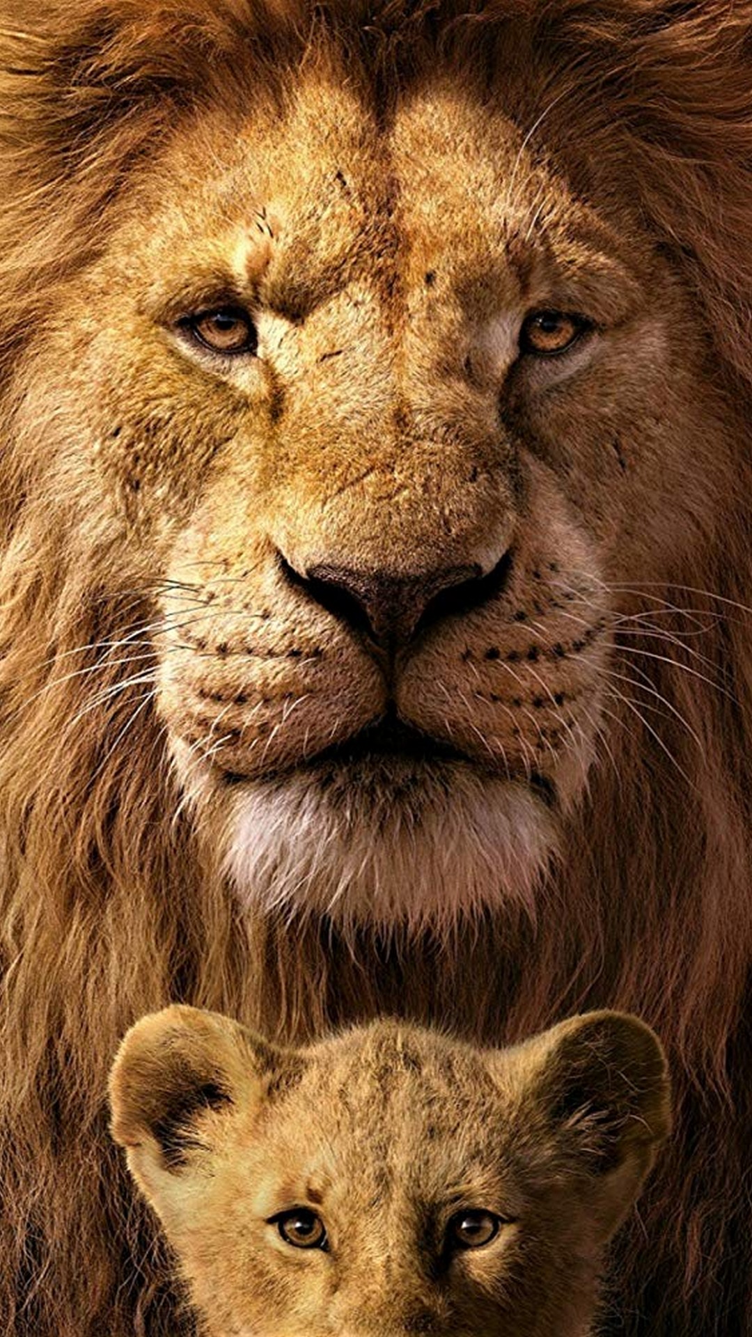 The Lion King Iphone 6 Wallpaper With High-resolution - Mufasa And Simba 2019 , HD Wallpaper & Backgrounds