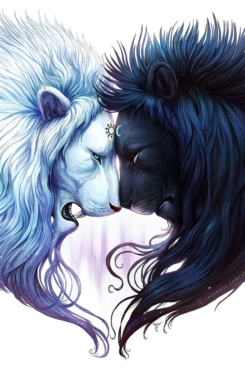 Wallpaper Digital Art, White Lion, Black Lion - รูป สิงโต สวย ๆ , HD Wallpaper & Backgrounds