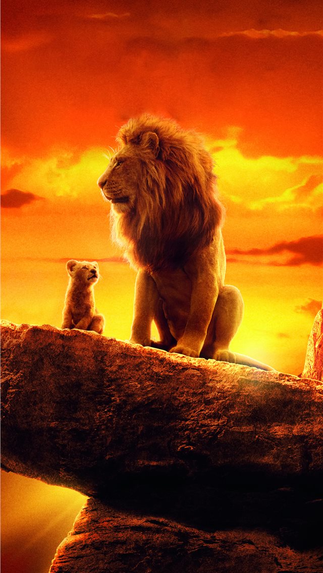 Lion King Wallpapers 2019 , HD Wallpaper & Backgrounds